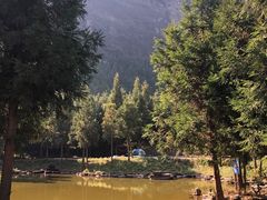 -重庆睡佛山森林公园