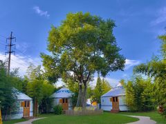 -前小桔亲子创意农场·草莓采摘·露营烧烤