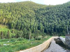 -永州阳明山国家森林公园
