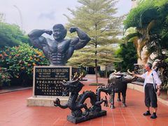 -马六甲鸡场街