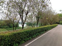 -广东花都湖国家湿地公园