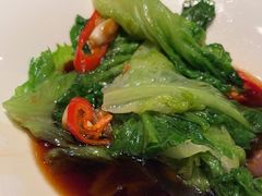 -金鼎轩(方庄天坛店)