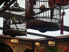 -七味轩中华传统文化主题酒楼(泽信广场店)