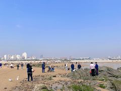 -巧克力渔家.小船海鲜胶东菜(万平口店)