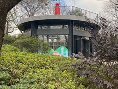 -MAMACHA妈妈茶(岳麓山店)