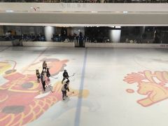 -TheRink大零溜冰场(IFS国金中心店)