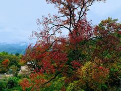 -塔川景区