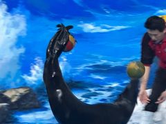 -左海海底世界