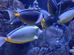 -成都浩海立方海洋公园