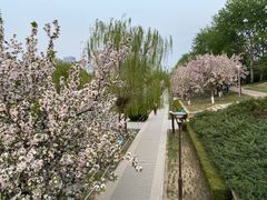 -海棠花溪(元大都城垣遗址公园)
