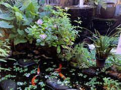 -园林美食城·本土农家菜(杨和镇店)