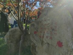 -广州市帽峰山景区