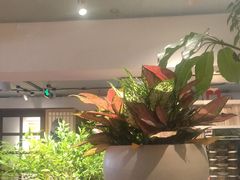 -懒人盐府人家·自贡大麻鱼(安贞店)