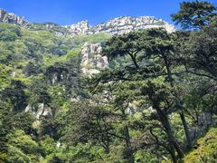 -泰山风景名胜区