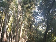 -福清灵石山国家森林公园