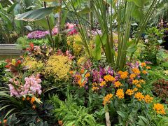 -北京植物园-展览温室