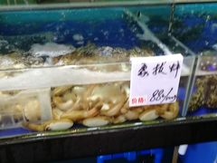 水产区-南海渔家•海鲜•正宗海南菜(海棠湾店)