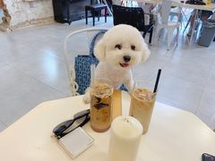 -边渡咖啡烘焙店(昙华林店)