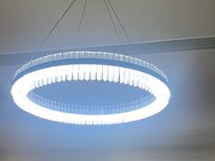 -杨氏青龙虾·羊蝎子(珠江路店)