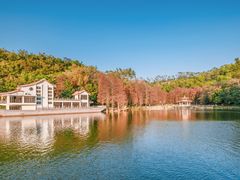 -深圳仙湖植物园