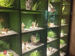 -慢丽江·云南野生菌土鸡锅(西山店)