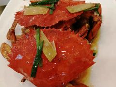 红油膏蟹-金时代顺风大酒店(协泰店)