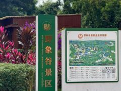 -野象谷景区