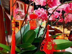 -白天鹅宾馆·美食屋