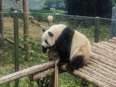 -大连森林动物园