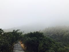 -梅岭月亮湾山体公园