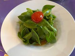 拌穿心莲-南来顺饭庄·清真(南菜园店)