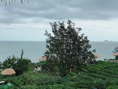 -青岛海滨风景区