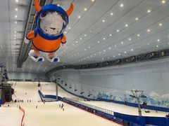 -哈尔滨热雪奇迹