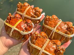 -蟹天蟹地农家菜·阳澄湖大闸蟹(浅水湾店)