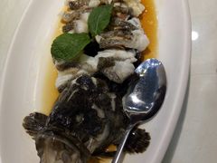 -一麦·龙岛(上海青浦店)