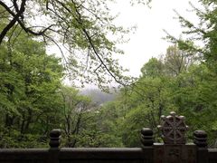 -九华山风景区月身宝殿