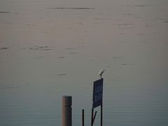 -苏州太湖国家湿地公园