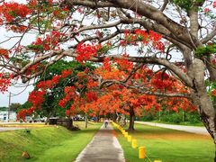 美国纪念公园-美国纪念公园