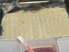 -食代馆(深业上城店)