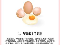 -Fundi张玉珊修身堂·indiba·BTL科技瘦身