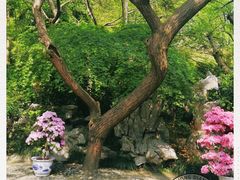 -汇龙潭