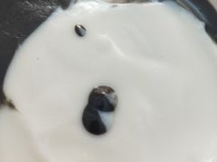 -鞠氏黑芝麻糊(水塔店)