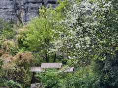 -窦圌山风景区