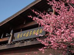 -西溪国家湿地公园