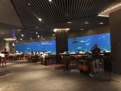 大堂-海棠湾洲际-涛·海底餐厅·美人鱼·自助餐·海底隧道