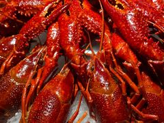 -虾乐园龙虾·夜宵(松江店)