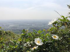 -杭州半山国家森林公园