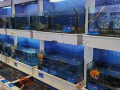 -益利大酒楼(井岸店)