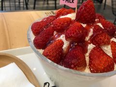 -ICEPOPO MILK(玉兰店)