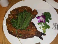 烤鱼-香巴拉云南餐厅(华莱坞店)